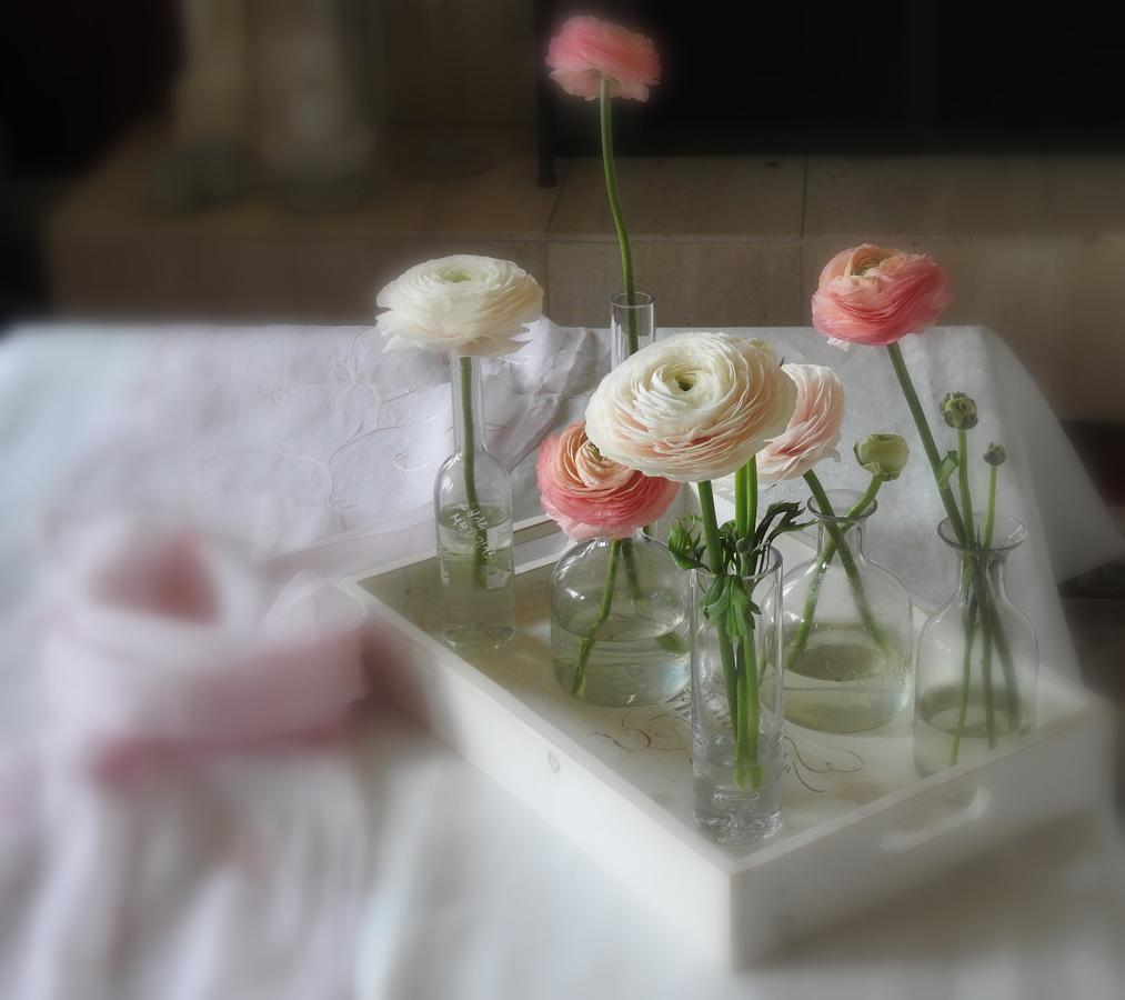 The Empty Nest B & B Carrying Place 外观 照片